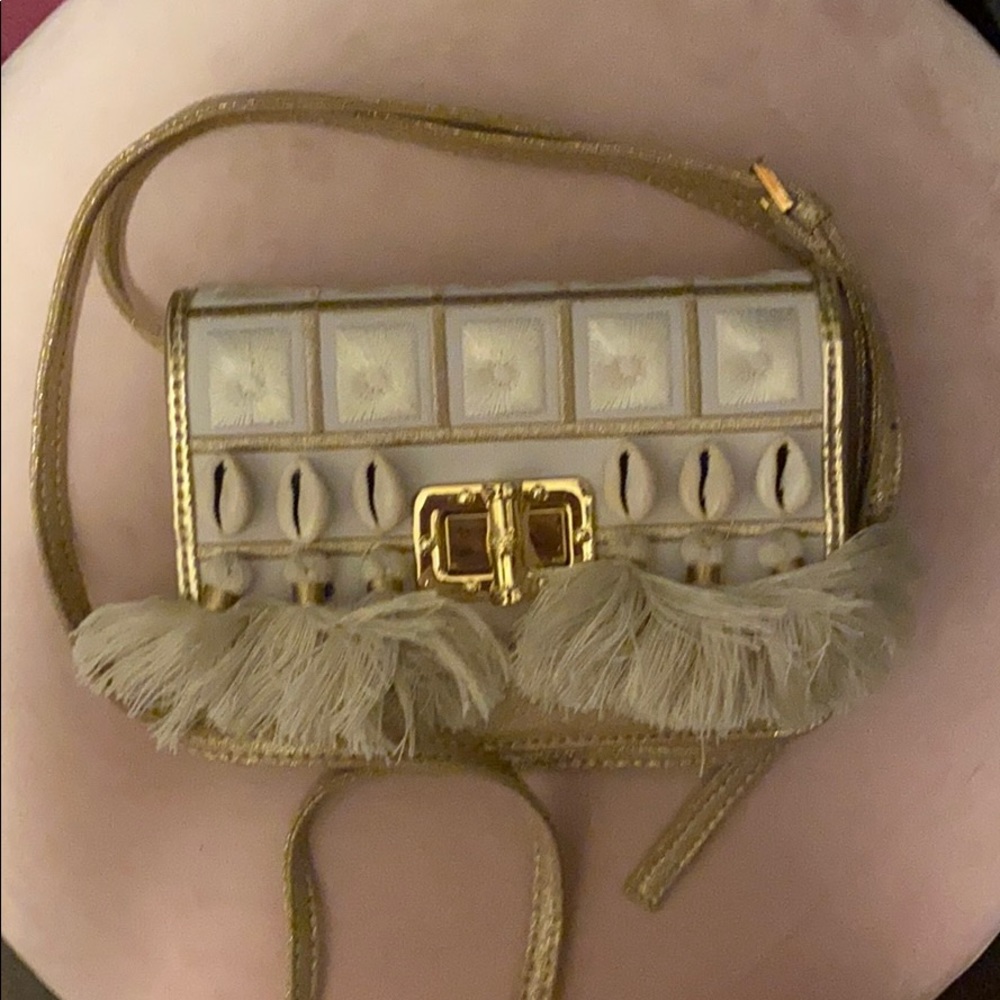 Lilly Pulitzer bag